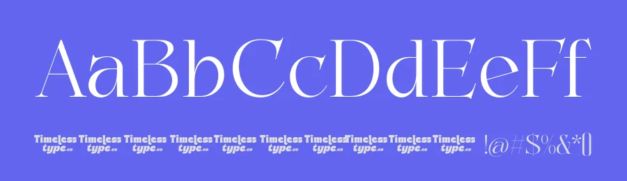 Gastic – Modern Editorial Serif Font by timelesstype.co — Serif Font — thumbnail 3