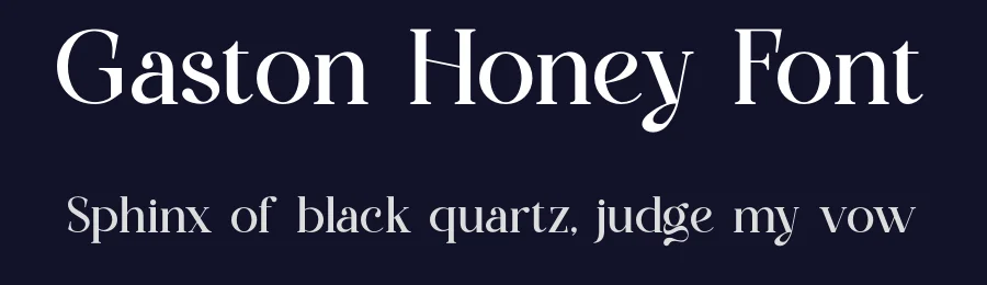 Gaston Honey Font by ErmediaStudio — Serif Font — thumbnail 2