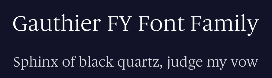 Gauthier FY Font Family by Black Foundry — Serif Font — thumbnail 2