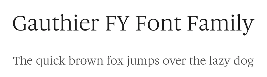 Gauthier FY Font Family by Black Foundry — Serif Font