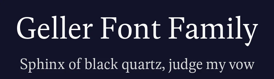 Geller Font Family by Ludka Biniek — Serif Font — thumbnail 2