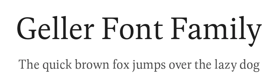 Geller Font Family by Ludka Biniek β Serif Font
