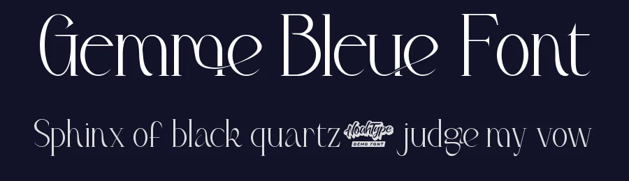 Gemme Bleue Font by noahtype — Serif Font — thumbnail 2