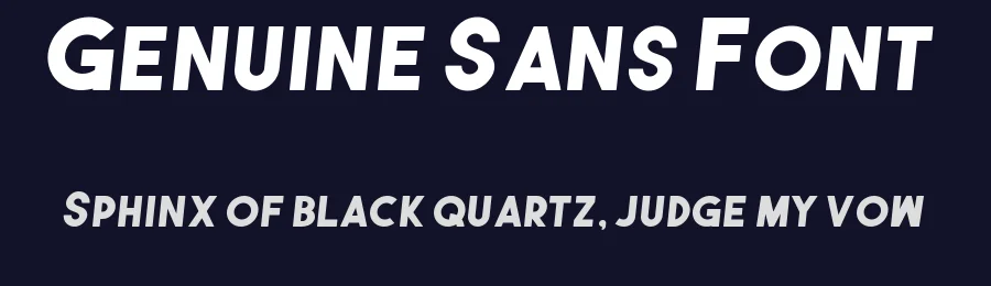 Genuine Sans Font by Ari Riadi — Sans Serif Font — thumbnail 2