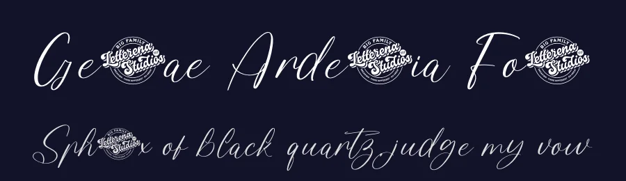 Gestae Ardentia Font by letterenastudios — Script Handwritten Font — thumbnail 2