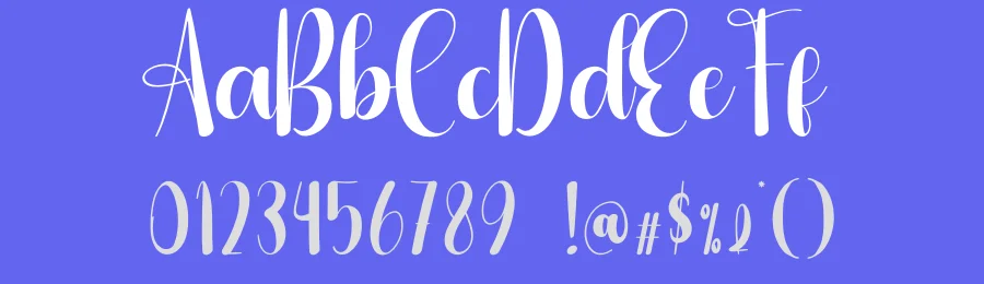 Gherkin Script Font by andikastudio — Script Handwritten Font — thumbnail 3