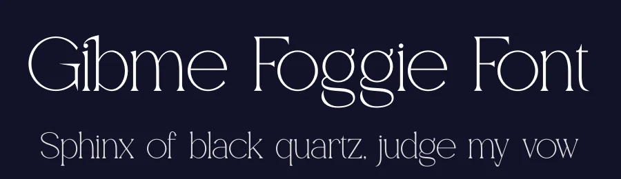 Gibme Foggie Font by Denustudios — Serif Font — thumbnail 2