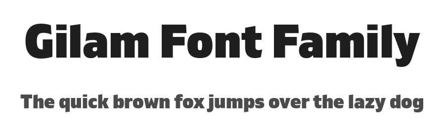 Gilam Font Family by Fontfabric — Sans Serif Font