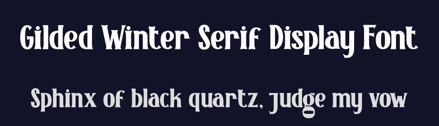 Gilded Winter Serif Display Font by PutraCetol Studio — Display Font — thumbnail 2