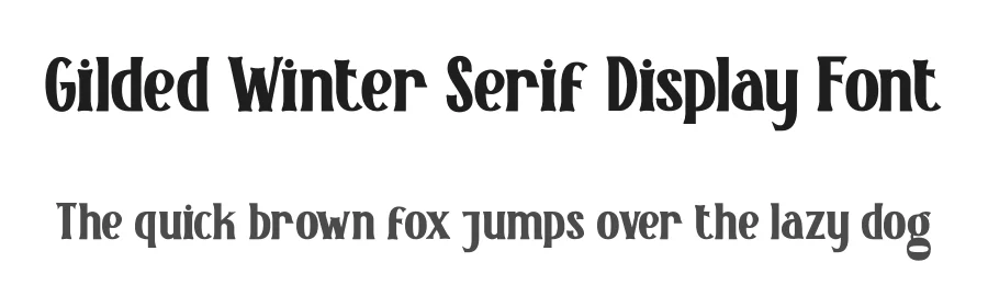 Gilded Winter Serif Display Font by PutraCetol Studio — Display Font