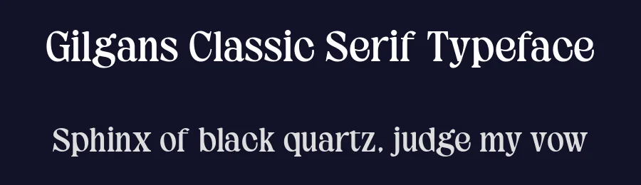 Gilgans Classic Serif Typeface by Violetnatural — Decorative Font — thumbnail 2