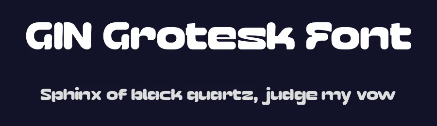 GIN Grotesk Font by Kulturë Type — Display Font — thumbnail 2