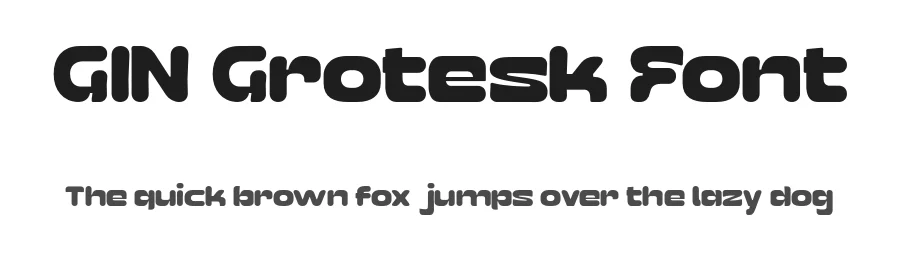 GIN Grotesk Font by Kulturë Type — Display Font