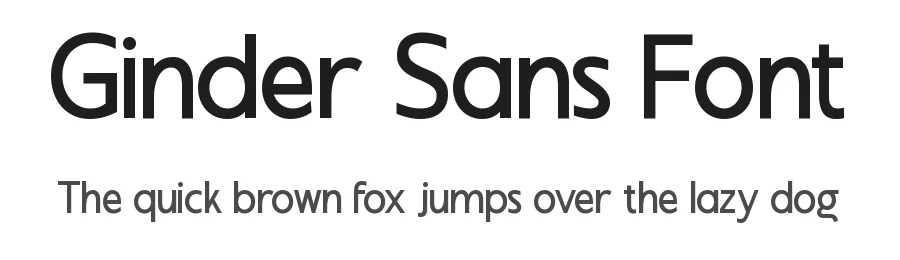 Ginder Sans Font by Neotype Foundry — Sans Serif Font