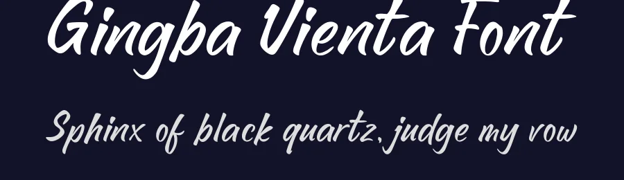 Gingba Vienta Font by Lettermine — Script Handwritten Font — thumbnail 2