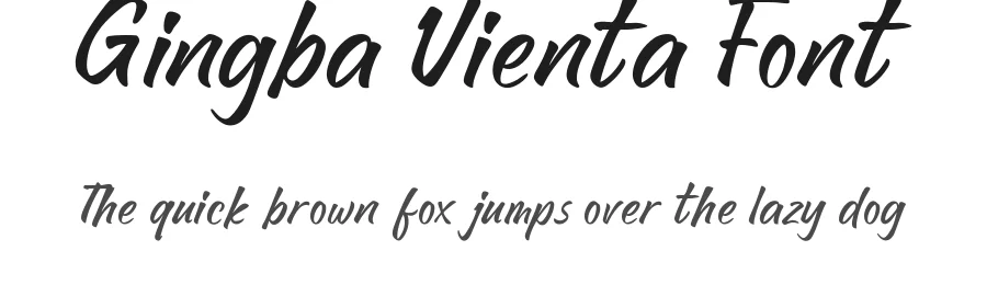 Gingba Vienta Font by Lettermine — Script Handwritten Font