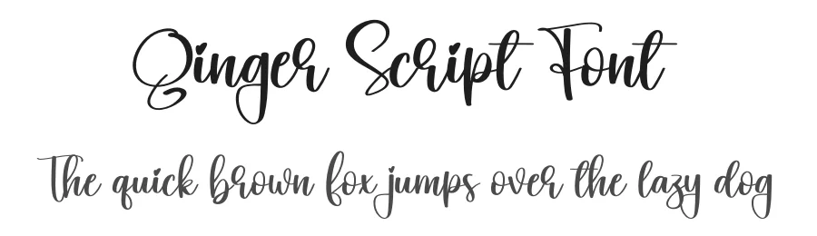 Ginger Script Font by creativeletter — Script Handwritten Font
