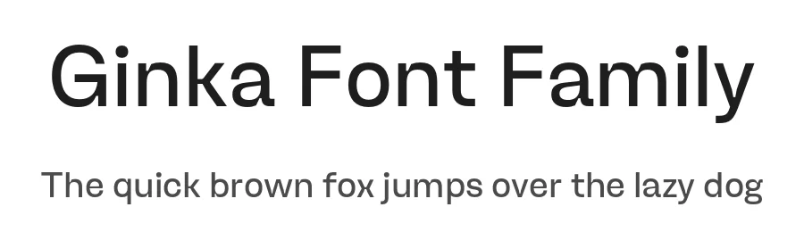 Ginka Font Family by Lift Type — Decorative Font