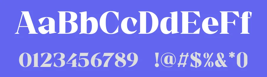 Gintage Font by TypeLogue — Serif Font — thumbnail 3
