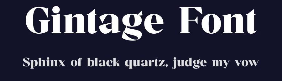 Gintage Font by TypeLogue — Serif Font — thumbnail 2