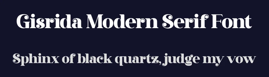 Gisrida Modern Serif Font by Storytype — Decorative Font — thumbnail 2