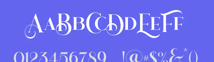 Glimmer Of Light Serif Font by DNArtDesign — Serif Font — thumbnail 3