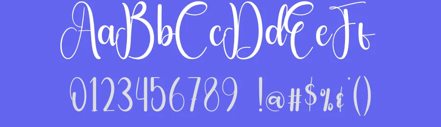 Glittering Script Font by creativeletter — Script Handwritten Font — thumbnail 3