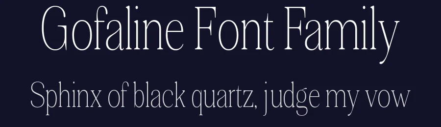 Gofaline Font Family by Nia Typework — Serif Font — thumbnail 2