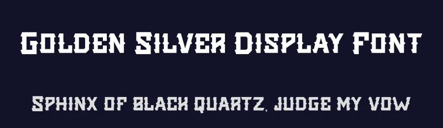 Golden Silver Display Font by Display Studio — Display Font — thumbnail 2