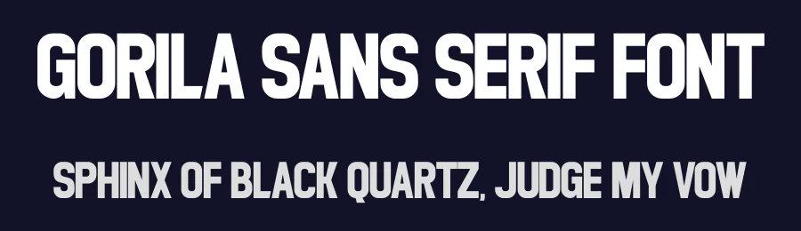 Gorila Sans Serif Font by Funtype — Decorative Font — thumbnail 2