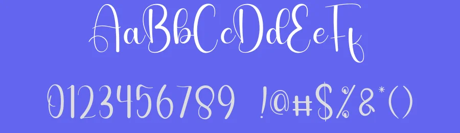 Graceful Script Font by andikastudio — Script Handwritten Font — thumbnail 3