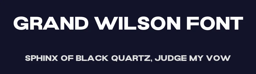 Grand Wilson Font by Letterhend Studio — Sans Serif Font — thumbnail 2