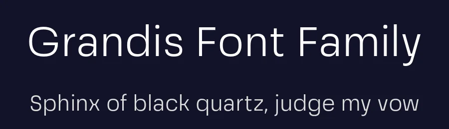 Grandis Font Family by Eimantas Paškonis — Sans Serif Font — thumbnail 2
