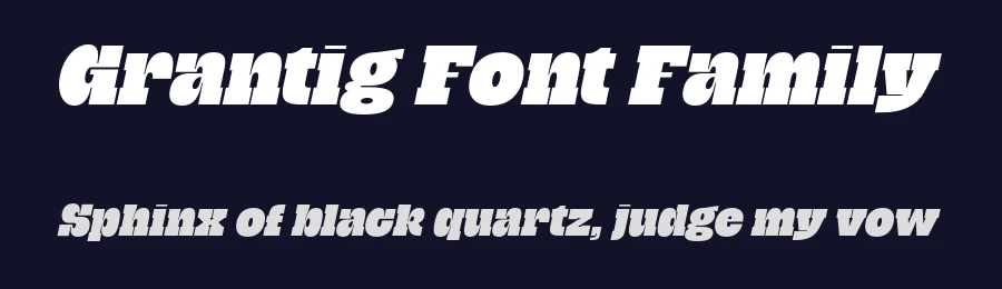 Grantig Font Family by Julien Fincker — Slab Serif Font — thumbnail 2