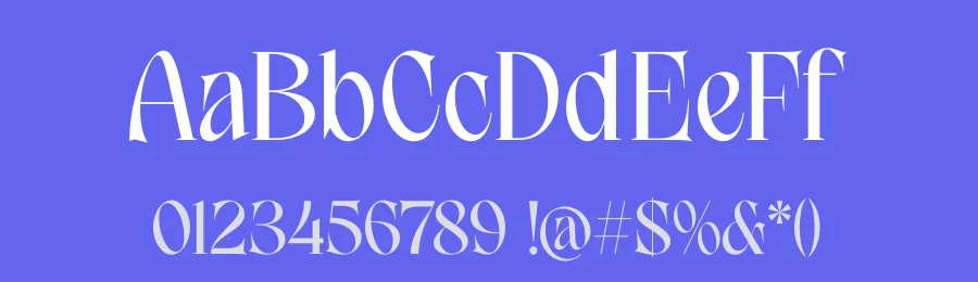 Graphic Reality – Modern Serif Display Font by timelesstype.co — Display Font — thumbnail 3