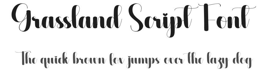 Grassland Script Font by creativeletter — Script Handwritten Font