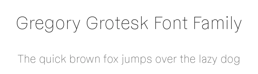 Gregory Grotesk Font Family by Antonia Cornelius , Jakob Runge β Sans Serif Font