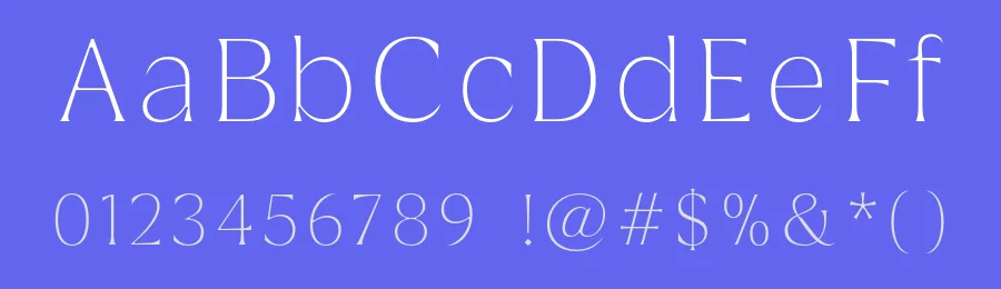 Griggs Serif Font by Seniors Studio — Sans Serif Font — thumbnail 3