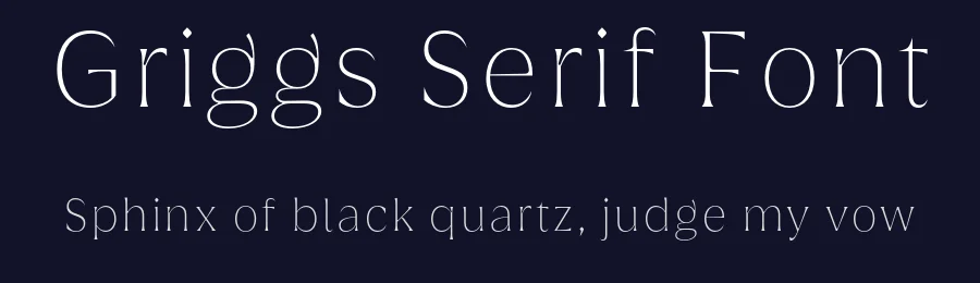 Griggs Serif Font by Seniors Studio — Sans Serif Font — thumbnail 2