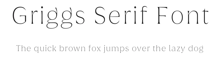 Griggs Serif Font by Seniors Studio — Sans Serif Font