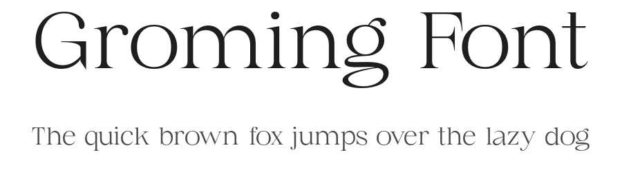 Groming Font by Vampstudio — Serif Font