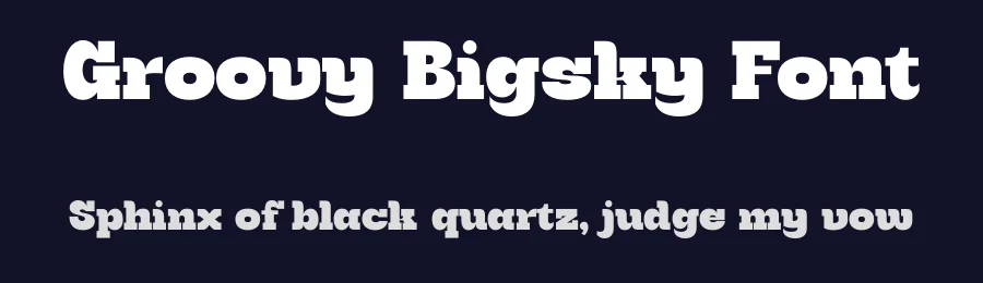 Groovy Bigsky Font by timelesstype.co — Serif Font — thumbnail 2