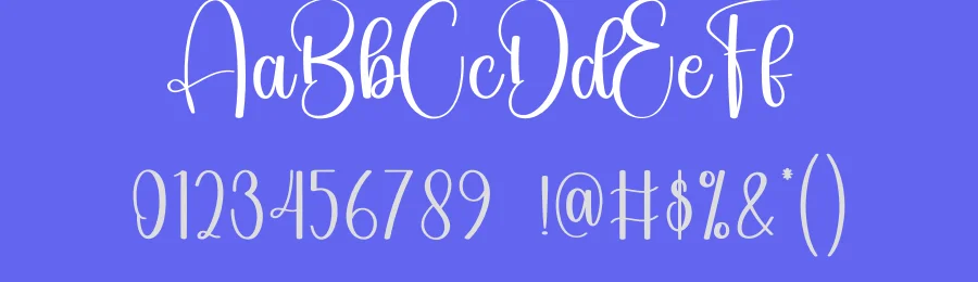 Groovy Calligraphy Font by creativeletter — Script Handwritten Font — thumbnail 3