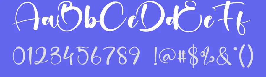 Groovy Calligraphy Script Font by creativeletter — Script Handwritten Font — thumbnail 3