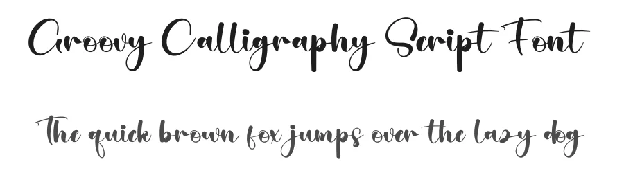 Groovy Calligraphy Script Font by creativeletter — Script Handwritten Font