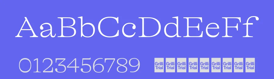 GT Alpina Font Family by Grilli Type — Serif Font — thumbnail 3