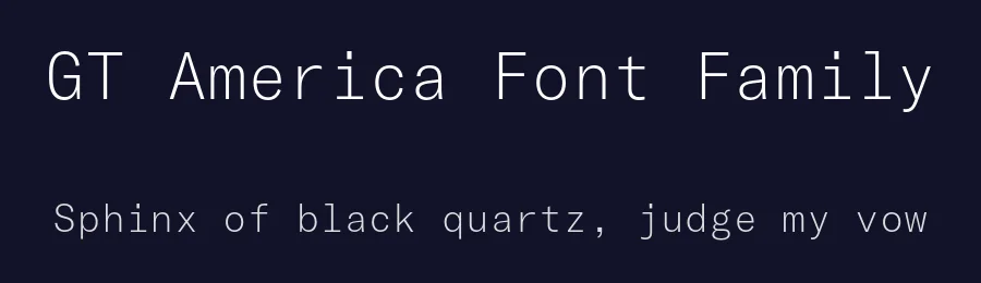 GT America Font Family by Grilli Type — Decorative Font — thumbnail 2