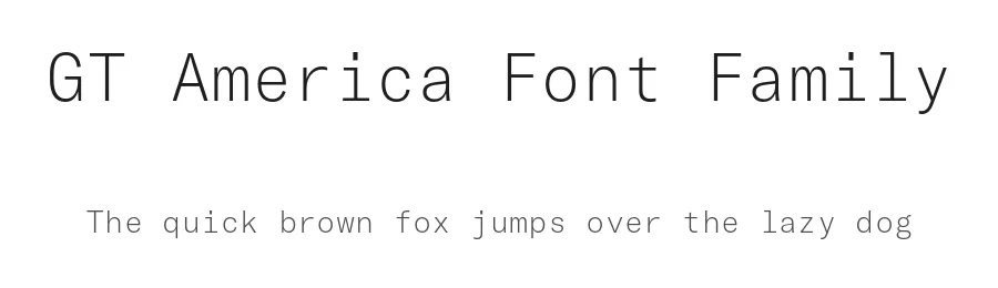 GT America Font Family by Grilli Type — Decorative Font