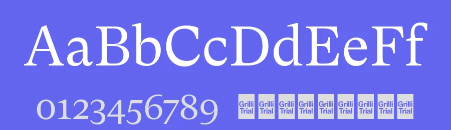 GT Super Font Family by Grilli Type — Serif Font — thumbnail 3
