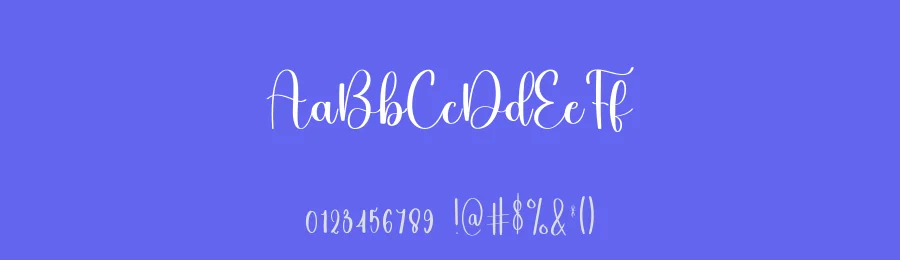 Guitar Vintage – Elegant Script Handwritten Font by freshtypeink — Script Handwritten Font — thumbnail 3